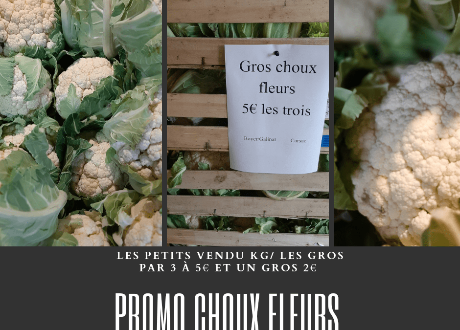 Promo sur les choux-fleurs