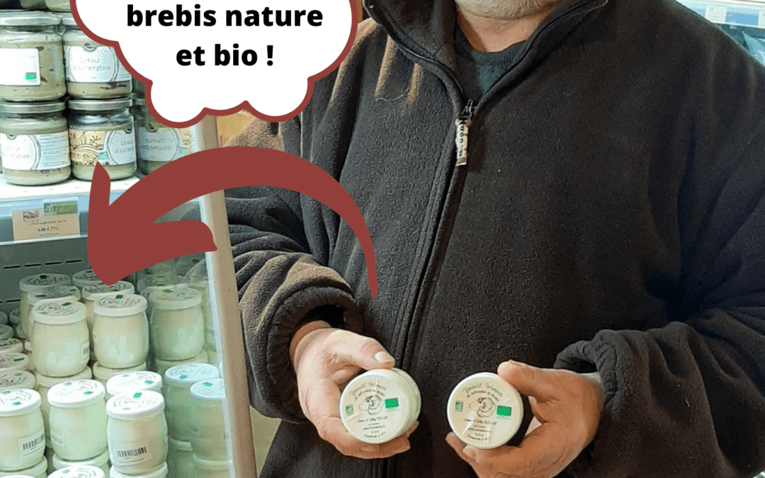 Les yaourts de brebis bio nature