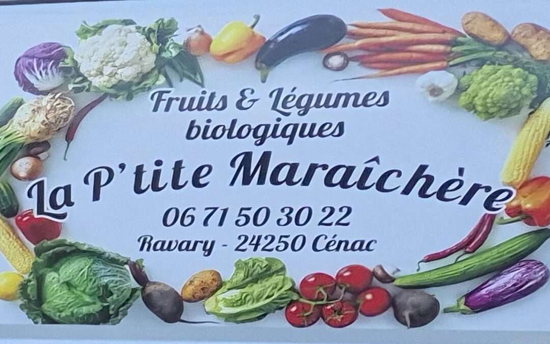 Les plants de légumes