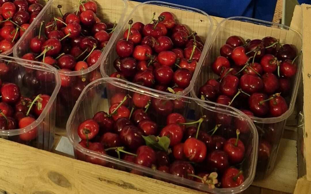 Les premières cerises