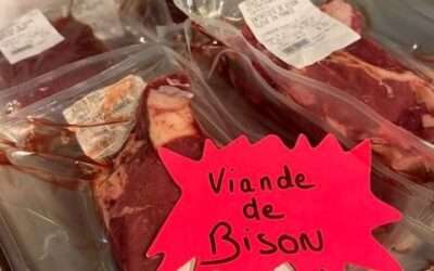 Viande de bison