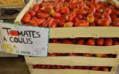 Tomates à coulis