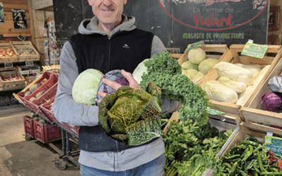 Les choux à la Ferme de Vialard